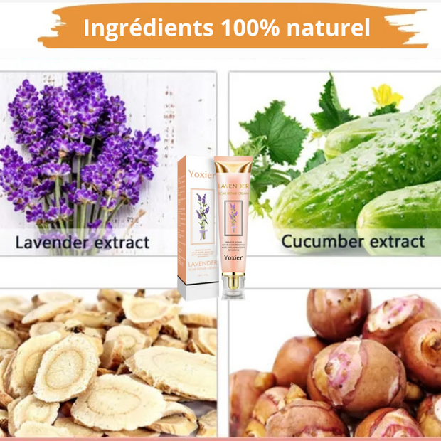 Crème anti-Cicatrices Ultra-Efficace – Élimine Cicatrices, Vergetures & Marques en 21 Jours